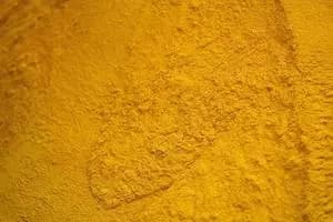 Pagkain ng Mais Gluten (60% Min Protina) - Indonesia
